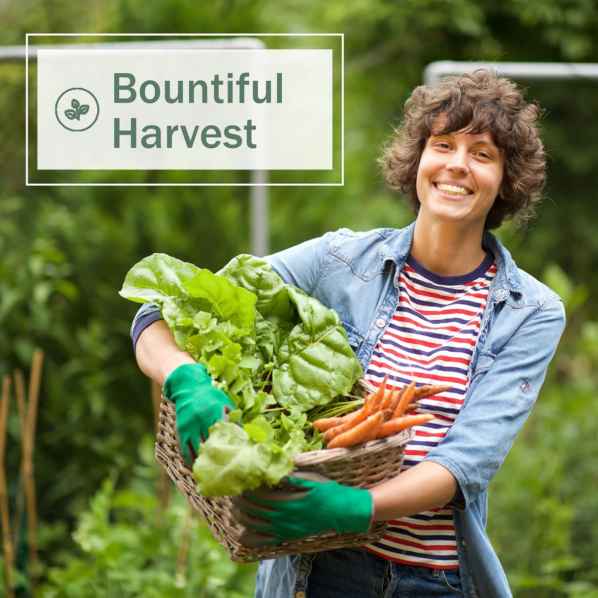 Mezcla de Semillas de Remolacha - Sow Right Seeds - No GMO