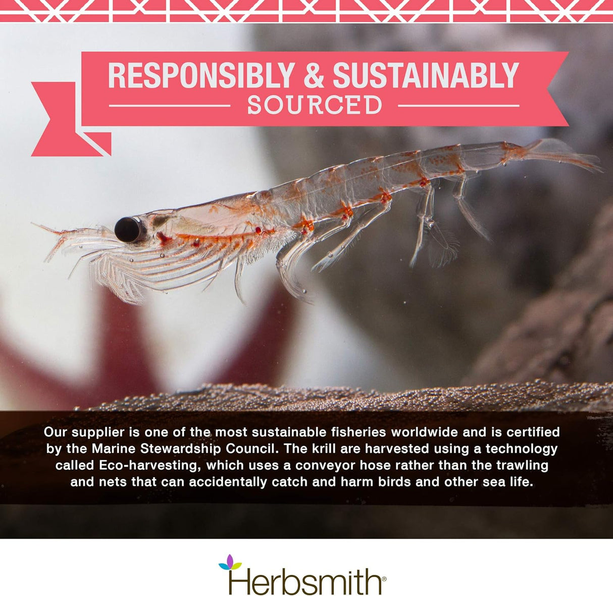 Suplementos Krill antártico Omega 3 para usar animales