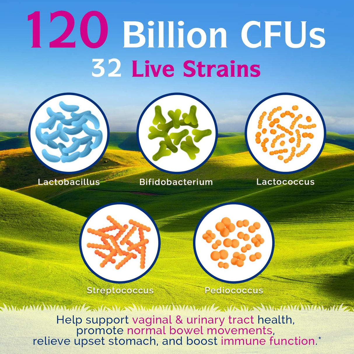 Probióticos para Mujeres con 32 Cepas y Arándano