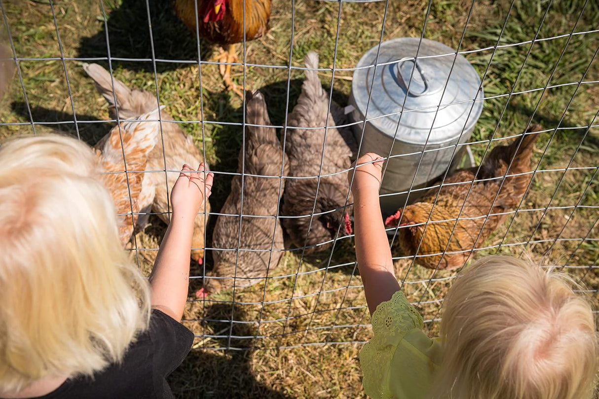 Buena Hierbas de 10 oz