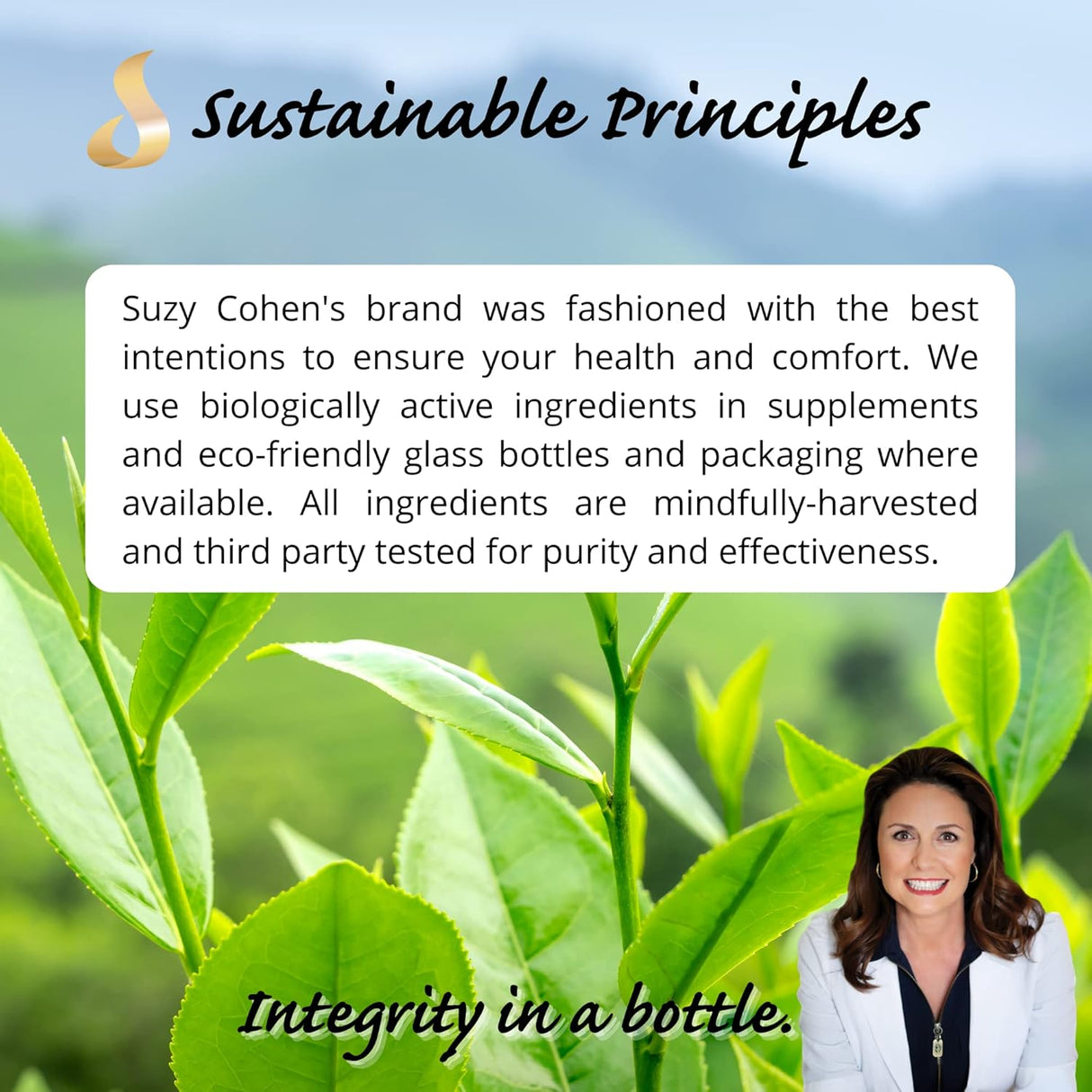 Suplemento de zinc quelatado 60 cápsulas para el estómago