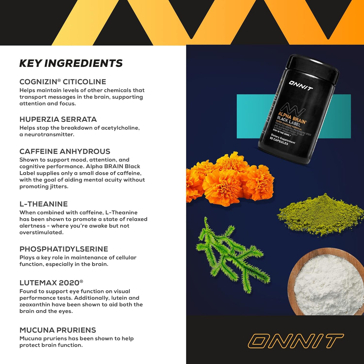 Suplemento cerebral de citicolina Enfoque concentración