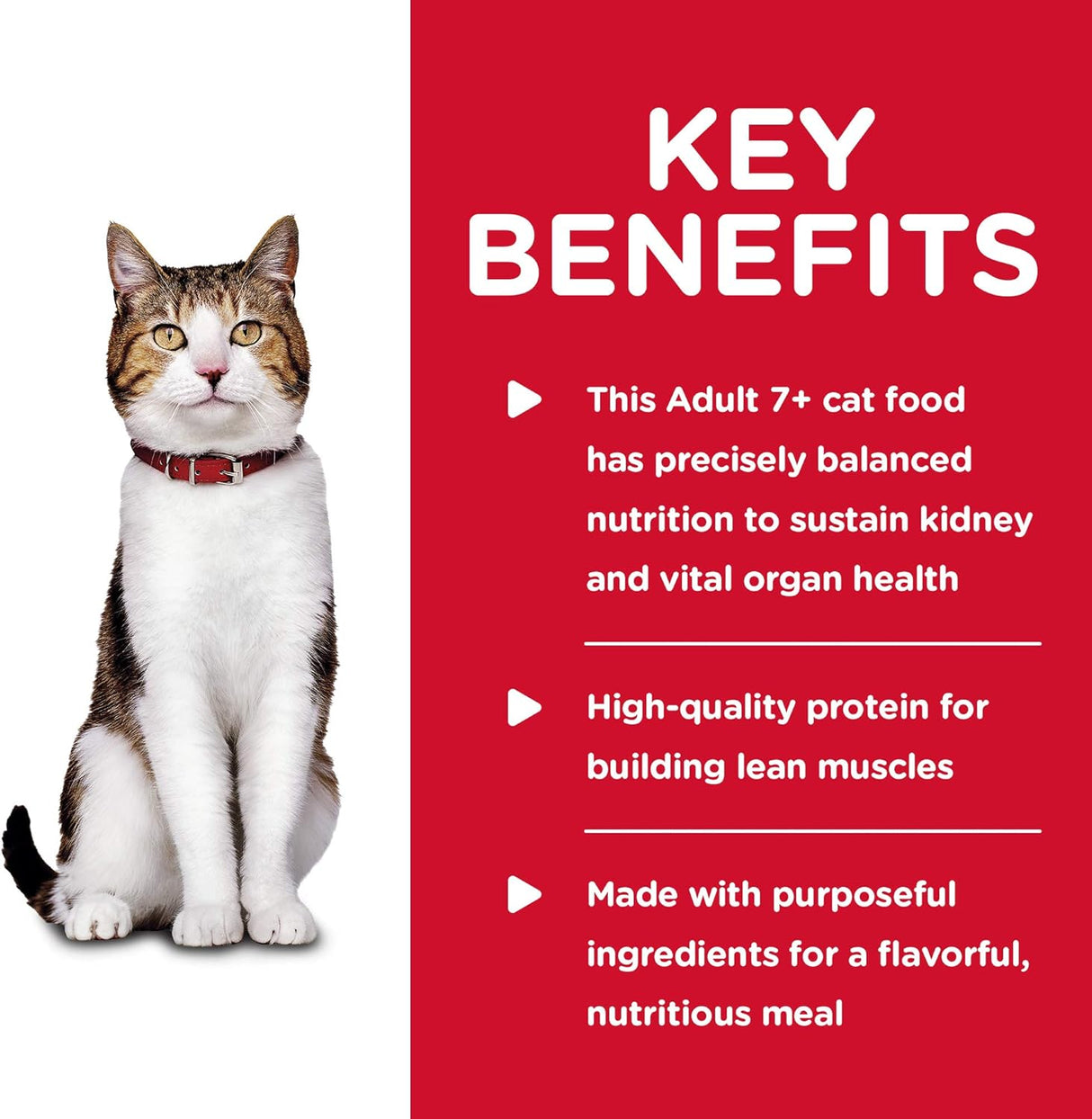 Alimento enlatado y picado para gatos adultos mayores