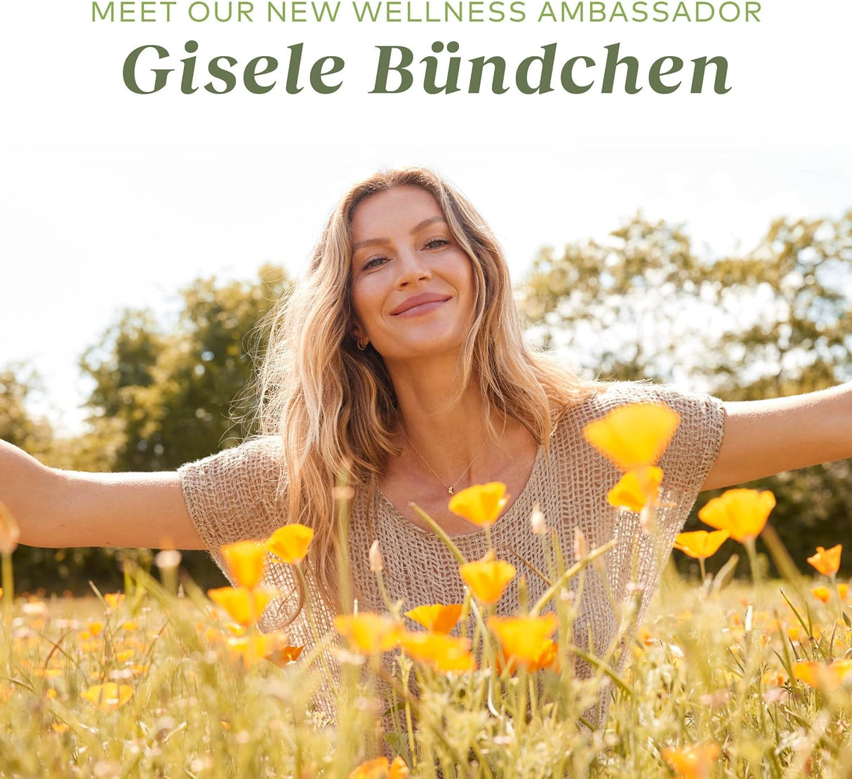 Cápsulas de Ashwagandha, Gaia Herbs, 60 Cápsulas, Energía y Ánimo