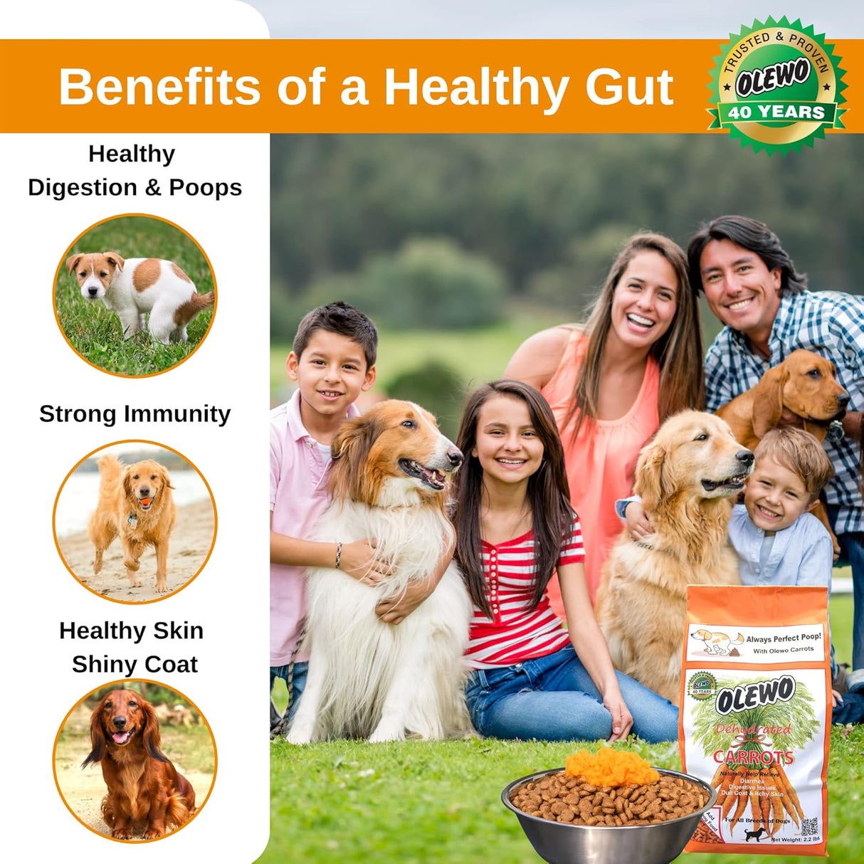 Vitaminas Deshidratado de zanahorias de perro