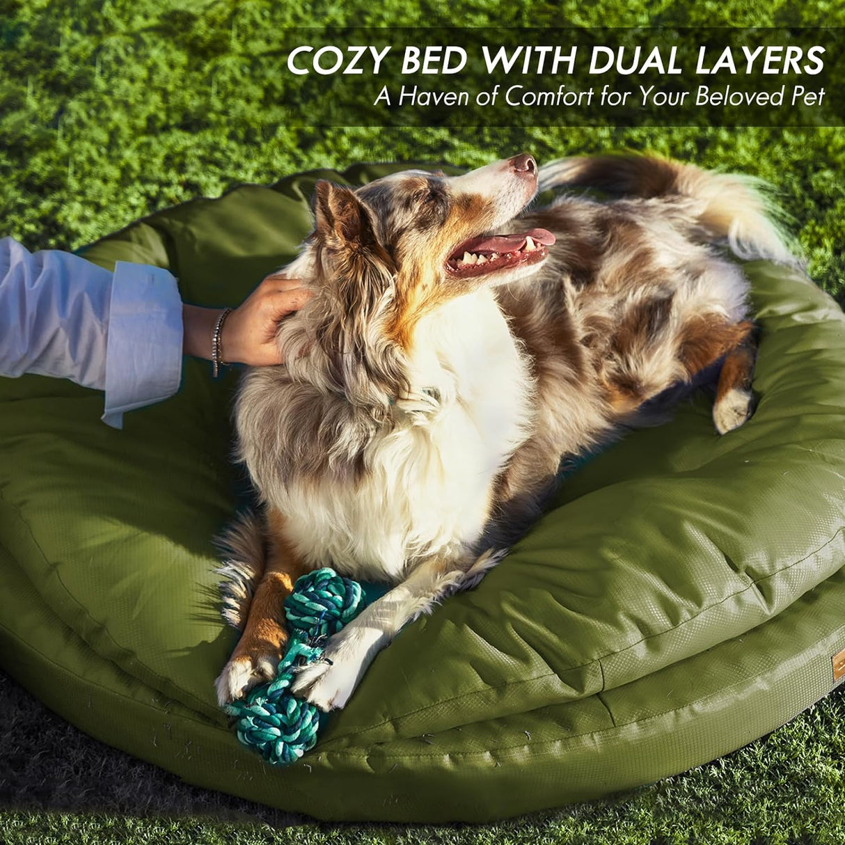 Cama ortopédica para perros grandes ClevaHome, doble capa, lavable