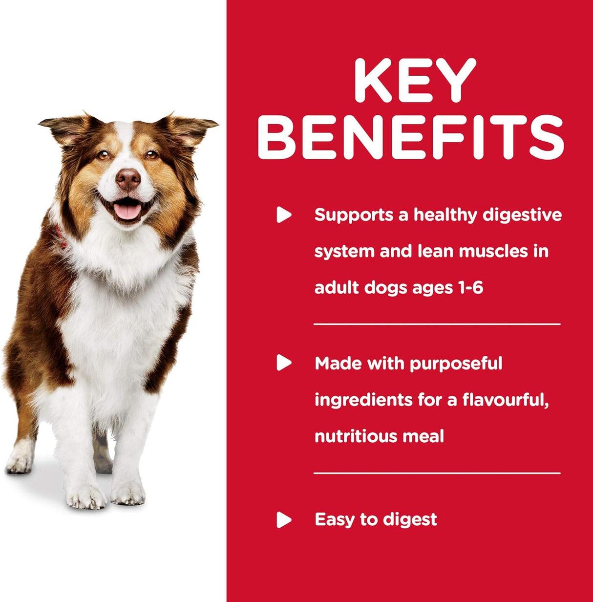 Alimento para Perros variado húmedo enlatado carne de res