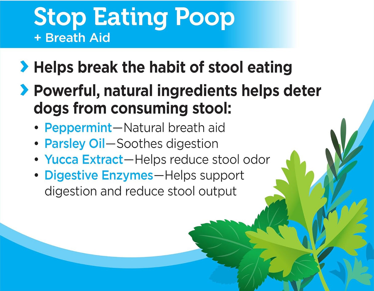 Vitaminas de comer caca para perros