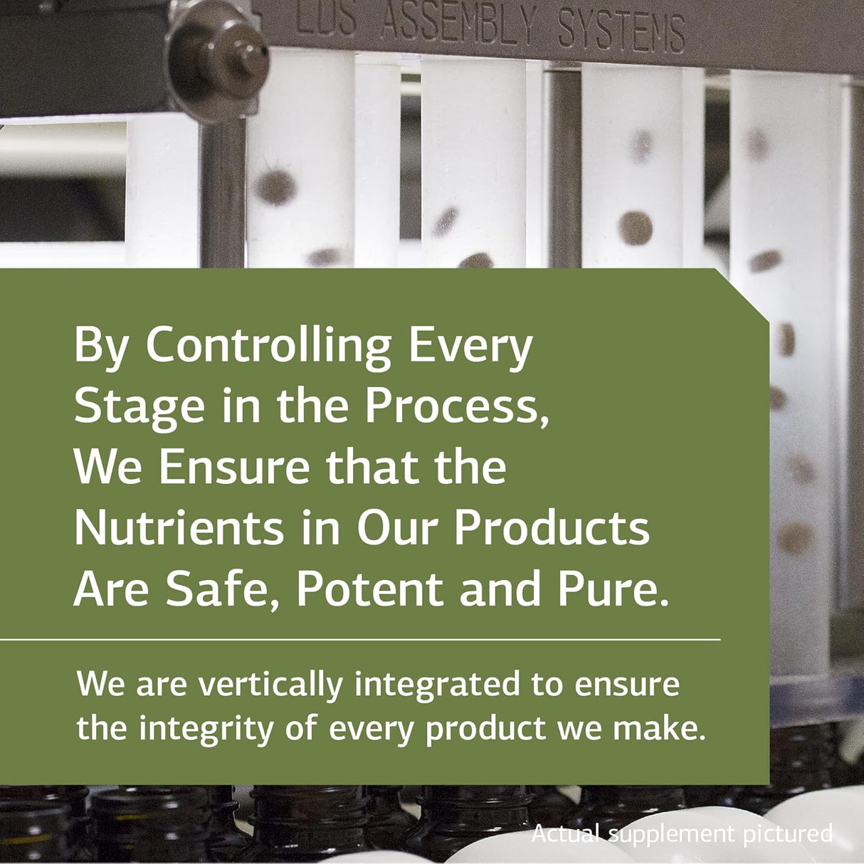 Suplemento Quelato de zinc Digestión de alimentos enteros