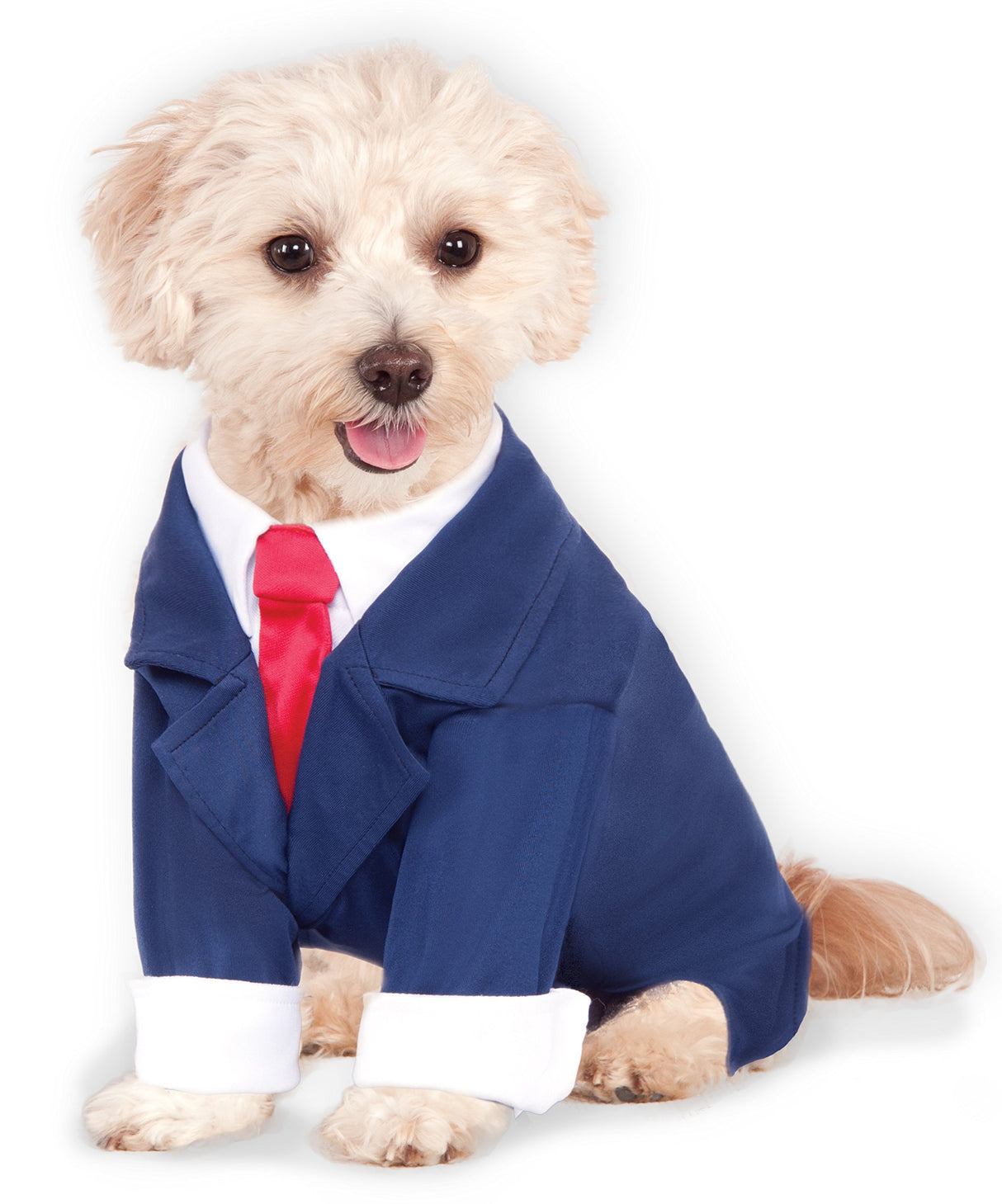 Traje de negocios para mascotas