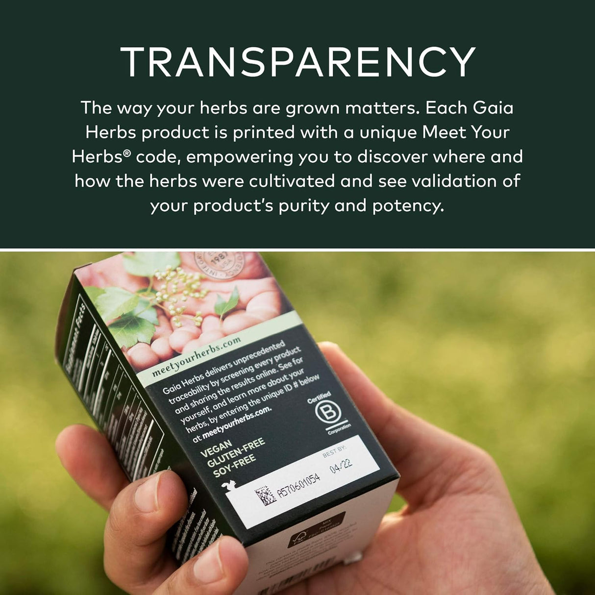 Suplementos Alimenticios Apoyo a la tiroides y bienestar