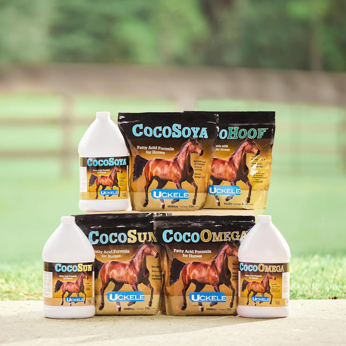Suplemento de Aceite CocoSoya Uckele - Ácidos Omega - 1 Galón