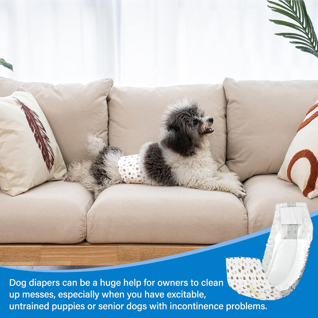 Pet Soft Pañales desechables perros machos 20 unidades, XS