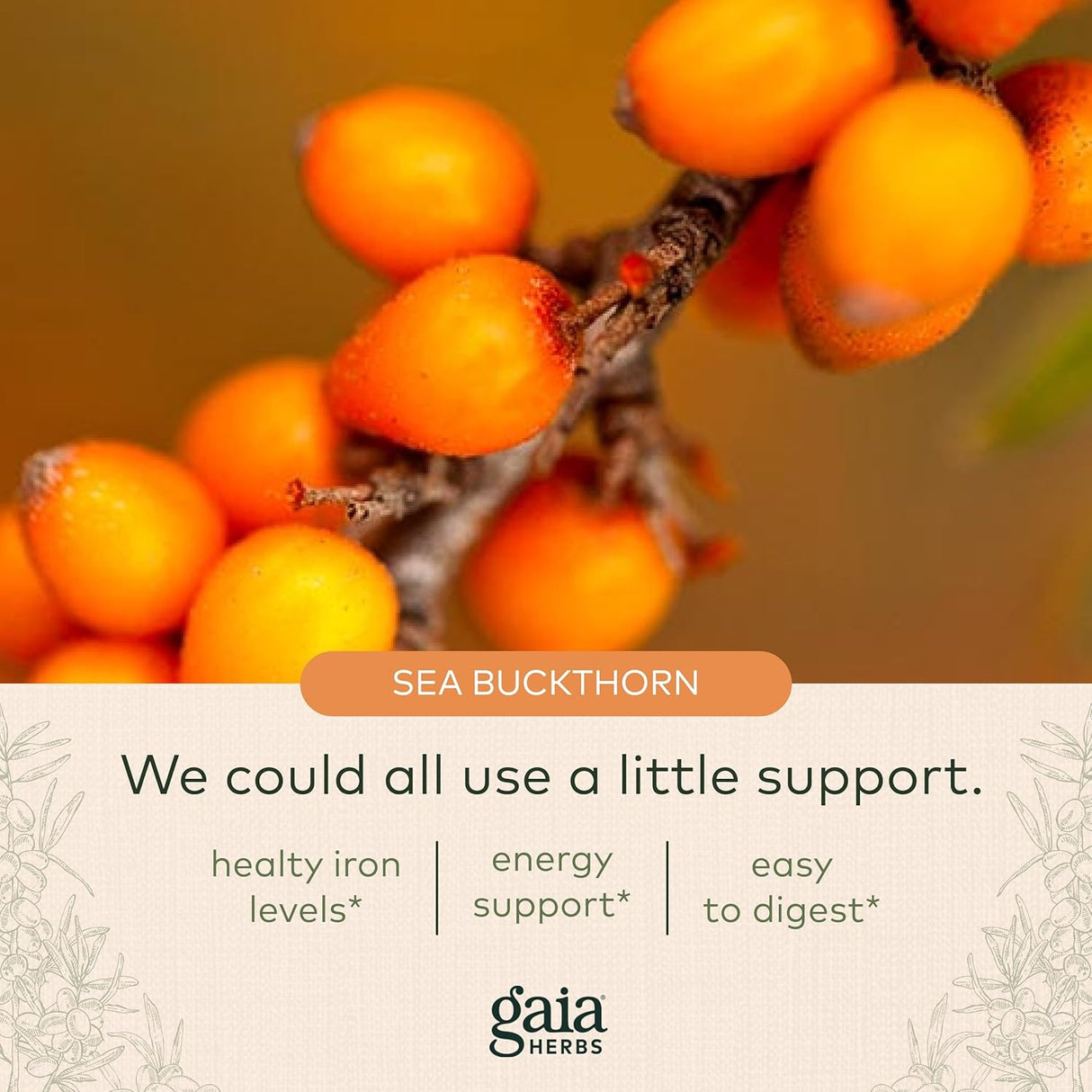 Suplemento Hierro líquido planta force gaia Herbs 16 onzas