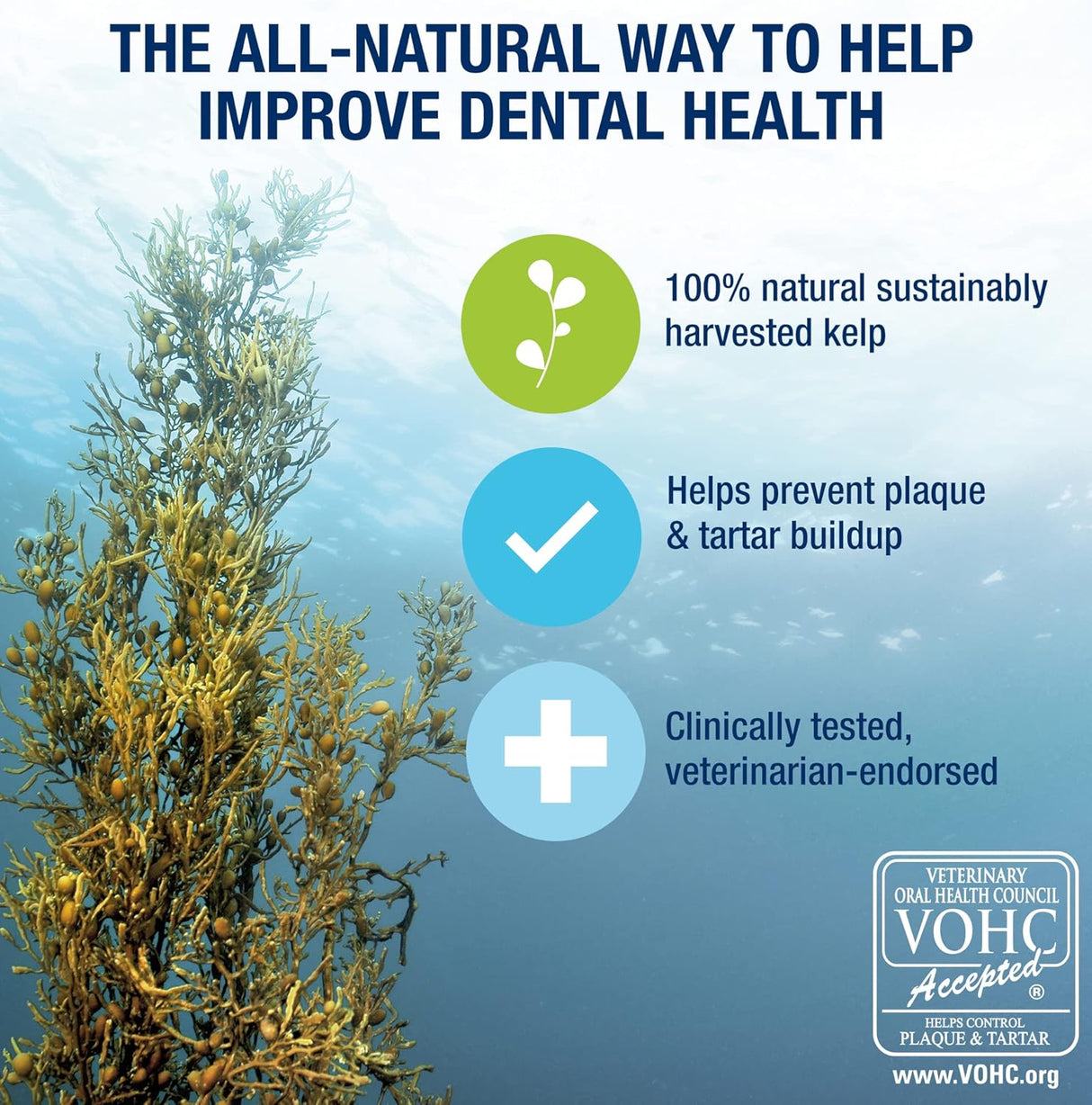 Suplementos Formulación especial felina