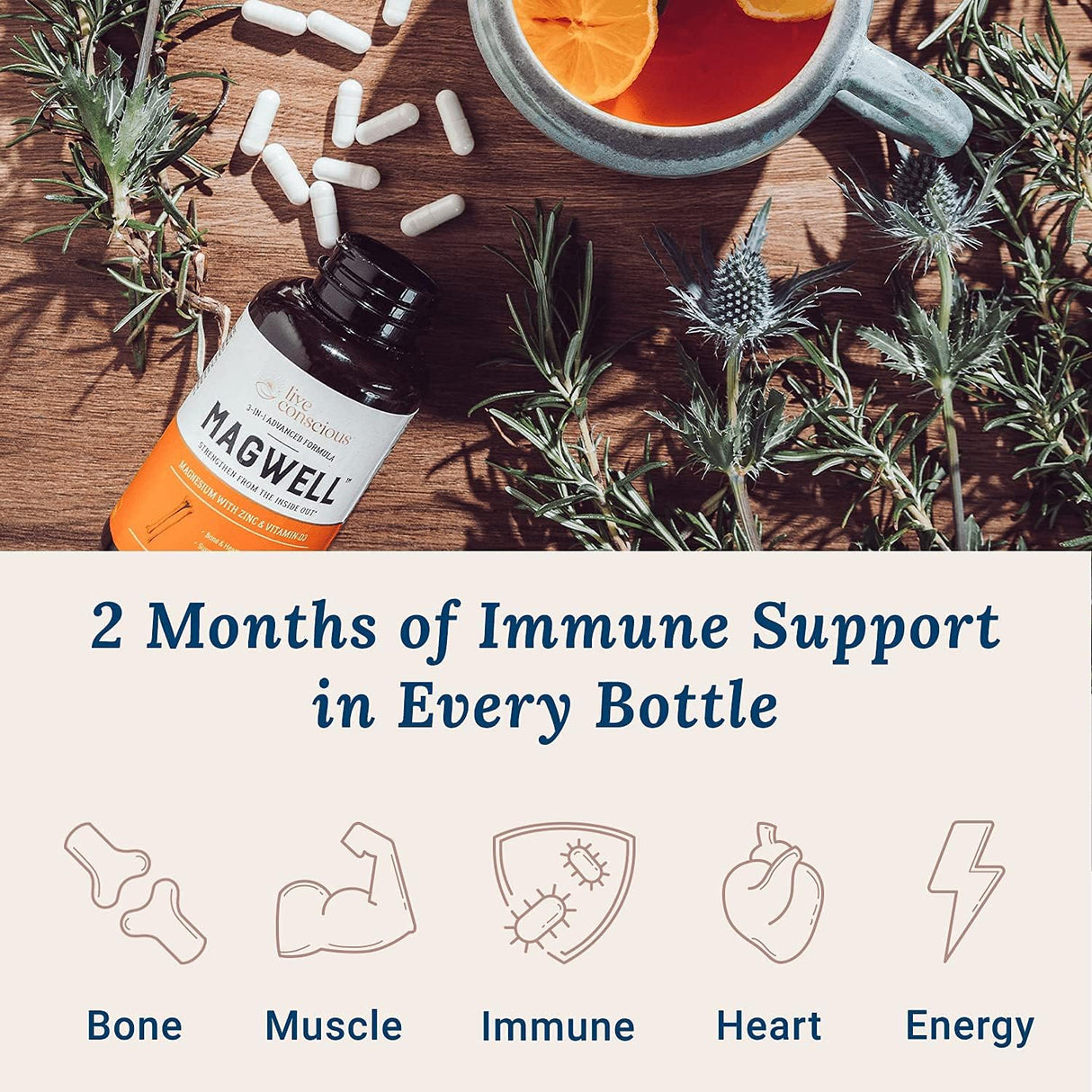 Suplementos Alimenticios Magnesio Salud ósea y cardíaca