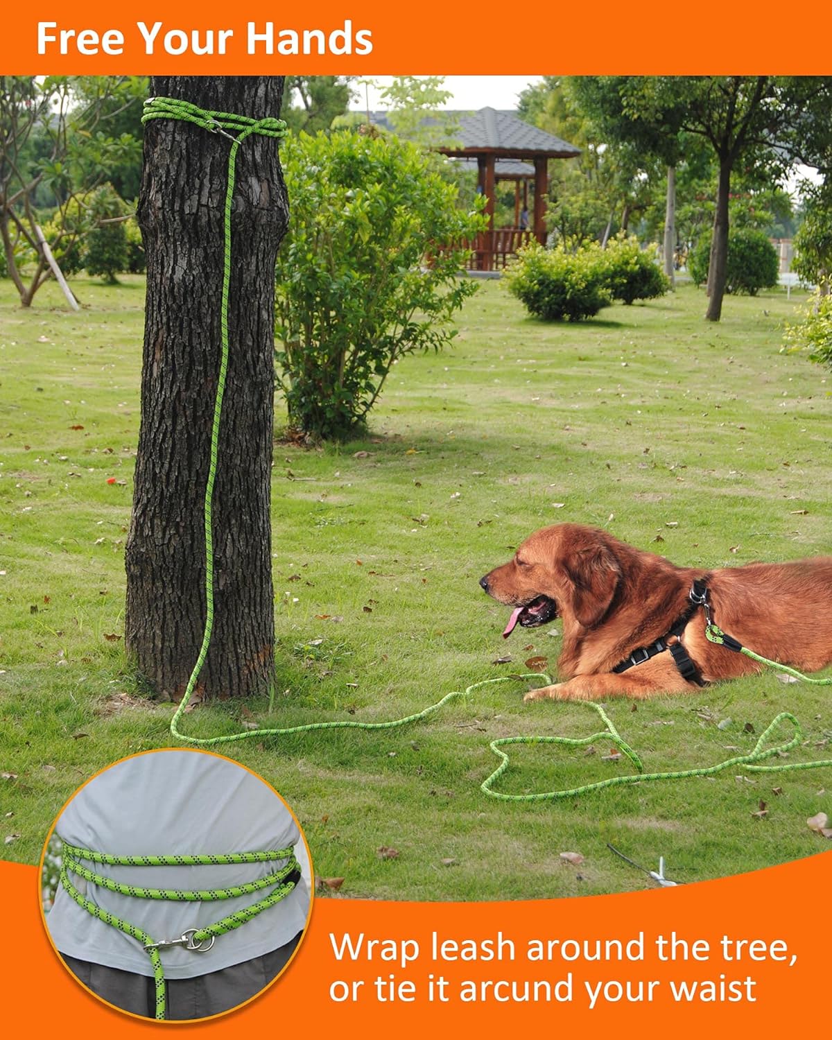 Correa Reflectante para Perros de 16FT a 100FT