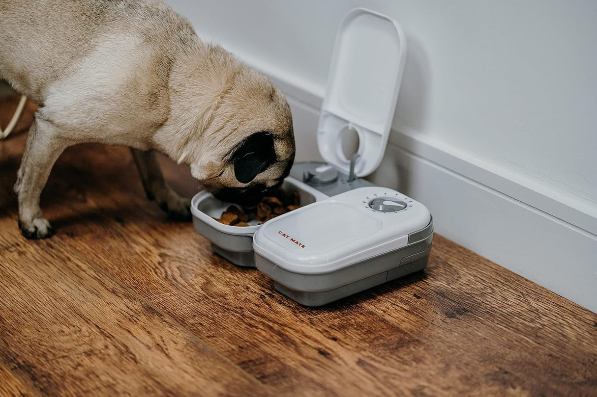 Comedero automático para mascotas de 2 Dos cuencos grandes