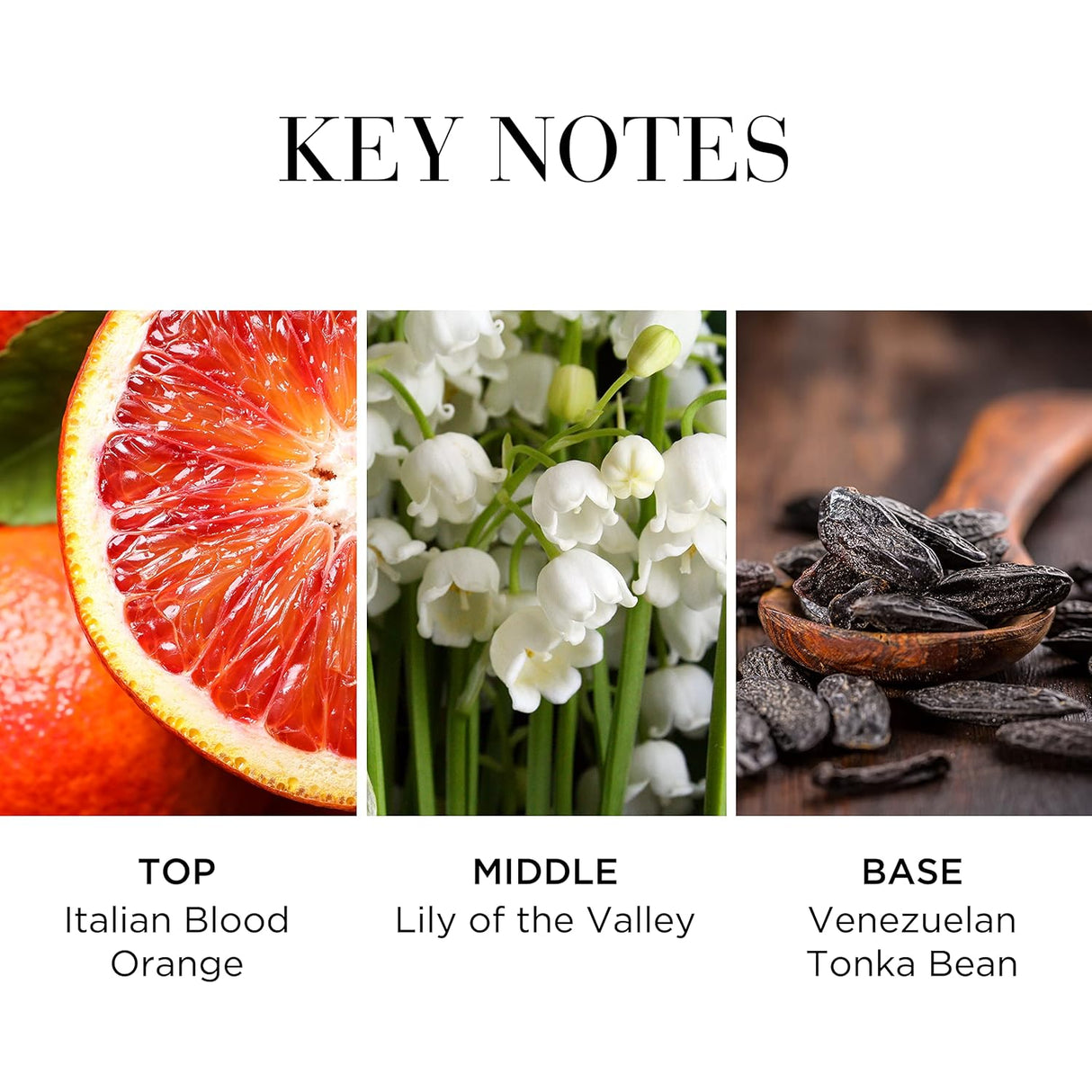 Eau Fraiche Té Blanco 3.3 Fl Oz