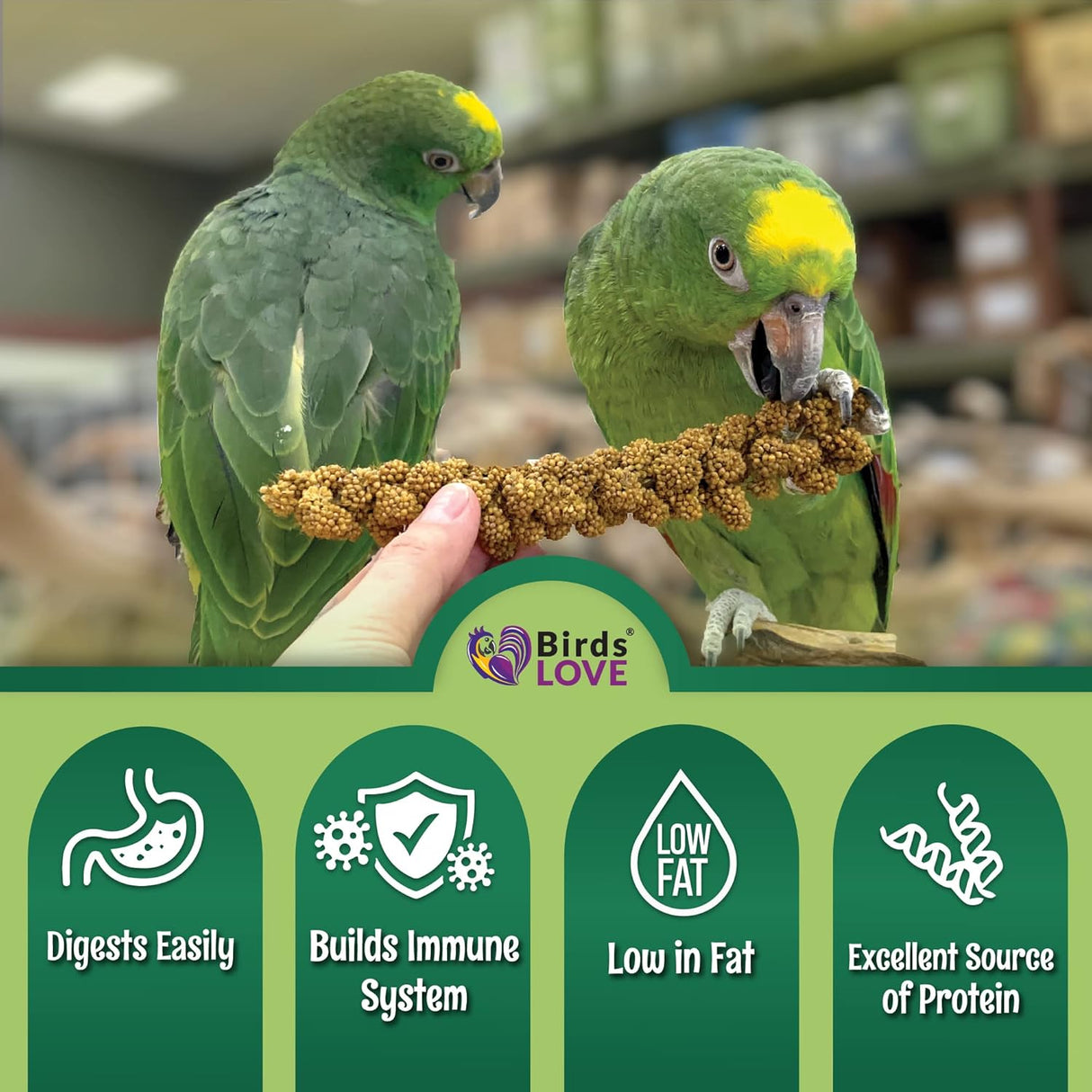 Mijo de golosinas secado al sol para pájaros mascotas