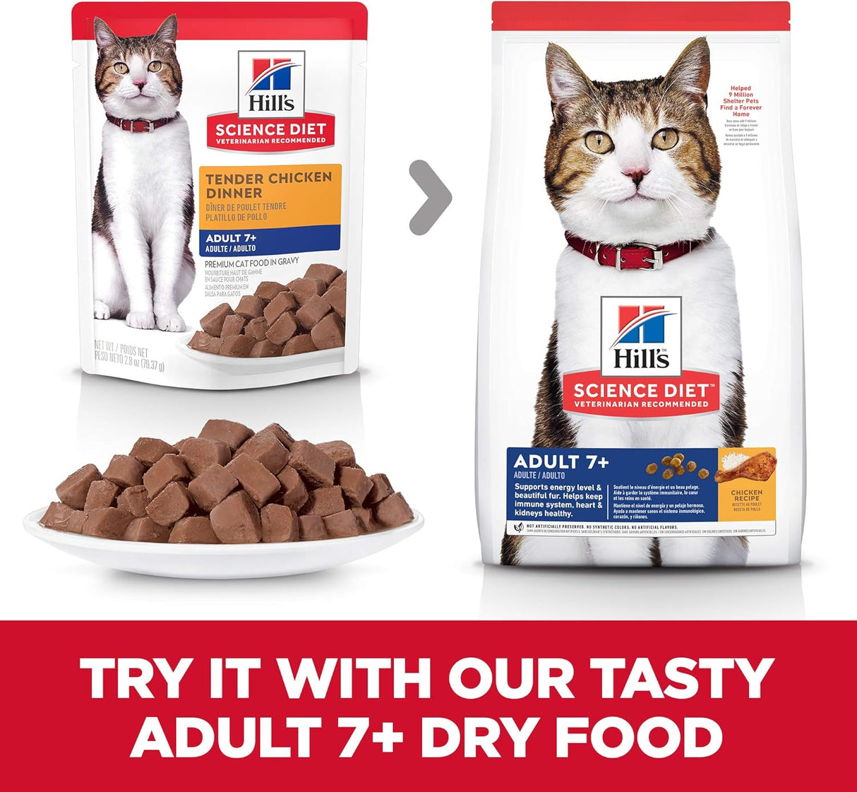 Alimento húmeda para gatos receta de pollo