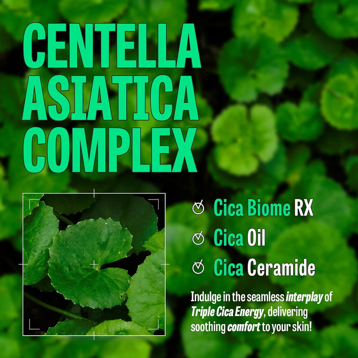 Aceite Limpiador Facial Hidratante de Corea para Piel Seca