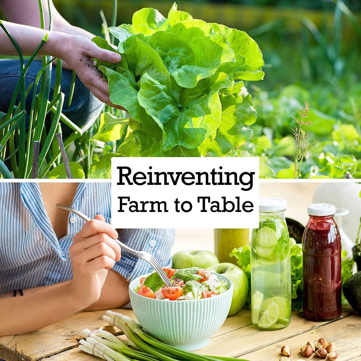 Semillas de Calabacín, No GMO, Heirloom, 25 Semillas