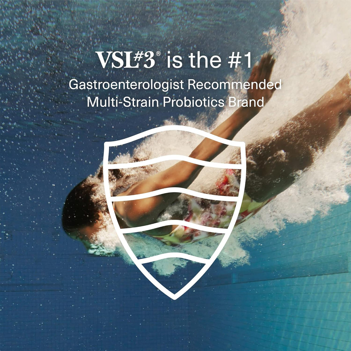 Suplemento Probióticos Alimentos del síndrome del intestino