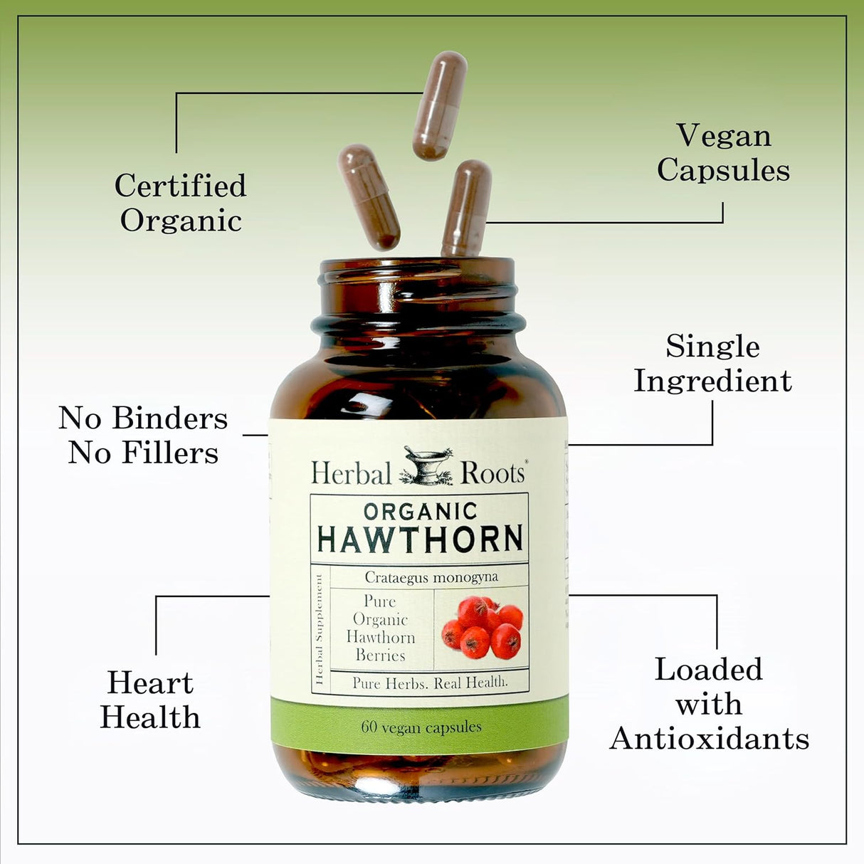 Herbal Roots Cápsulas orgánicas de bayas de espino – Salud del corazón – Extra fuerza 1,200 mg por porción, veganas, fabricadas en los Estados Unidos