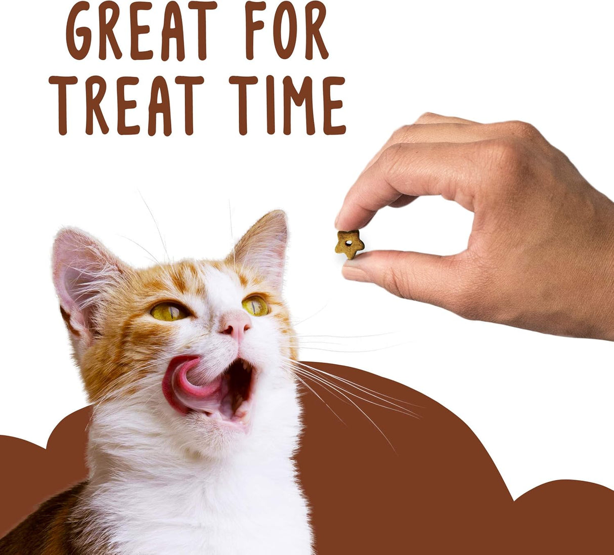 Golosinas para gatos (10) bolsas de 2.1 onzas Carne de res