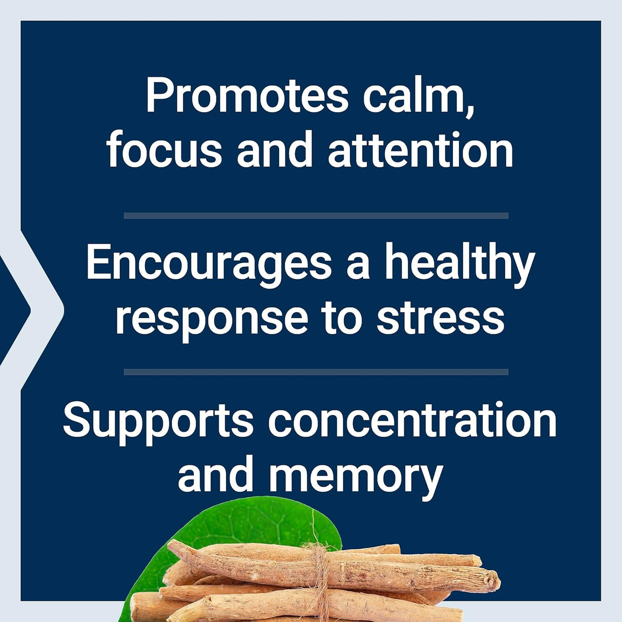 Suplemento Ashwagandha Plus Calm & Focus Life Extension 60 Caps