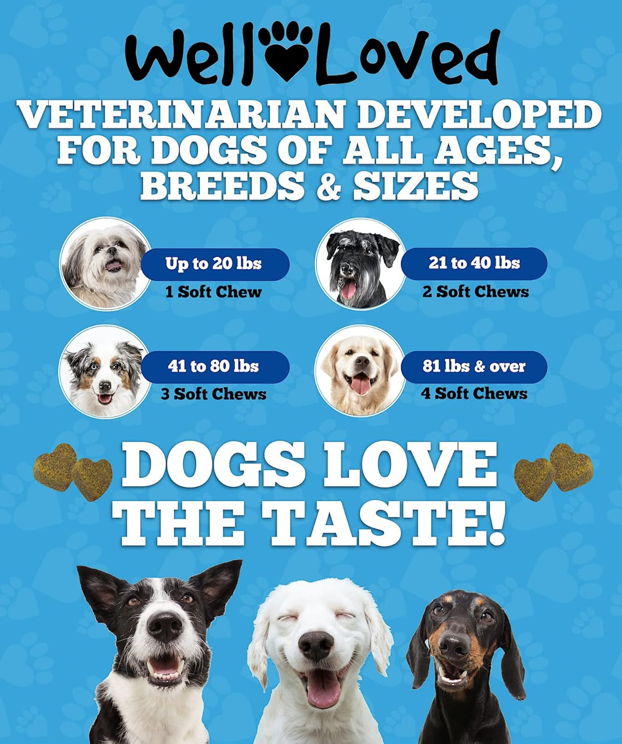 Vitaminas perros Probióticos para perros y enzimas