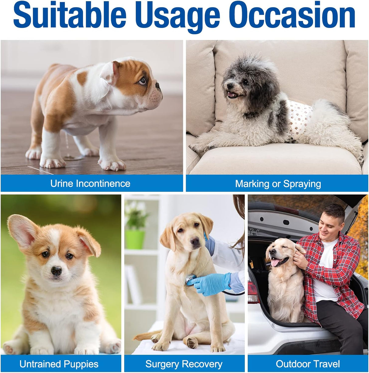 Pet Soft Pañales desechables perros machos 20 unidades, XS