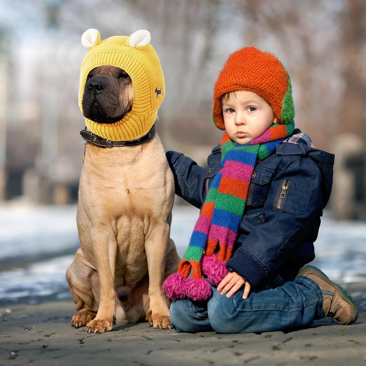Protección Auditiva para Perros, Gorro Térmico, Talla Mediana-Grande