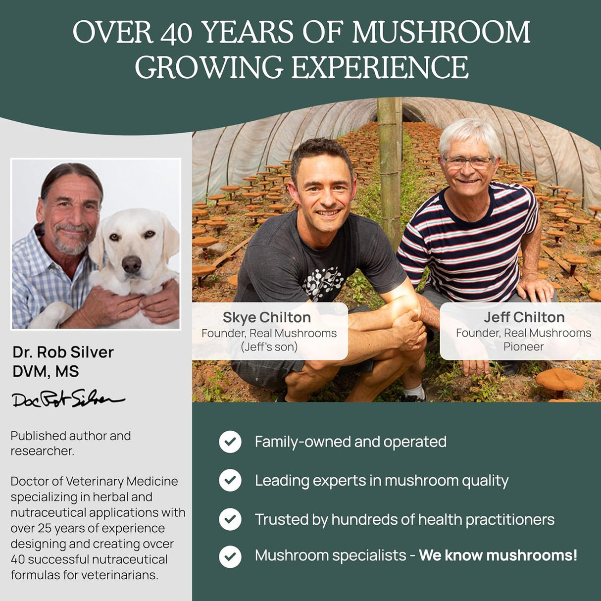 Masticables Inmunológicos con Hongos para Mascotas