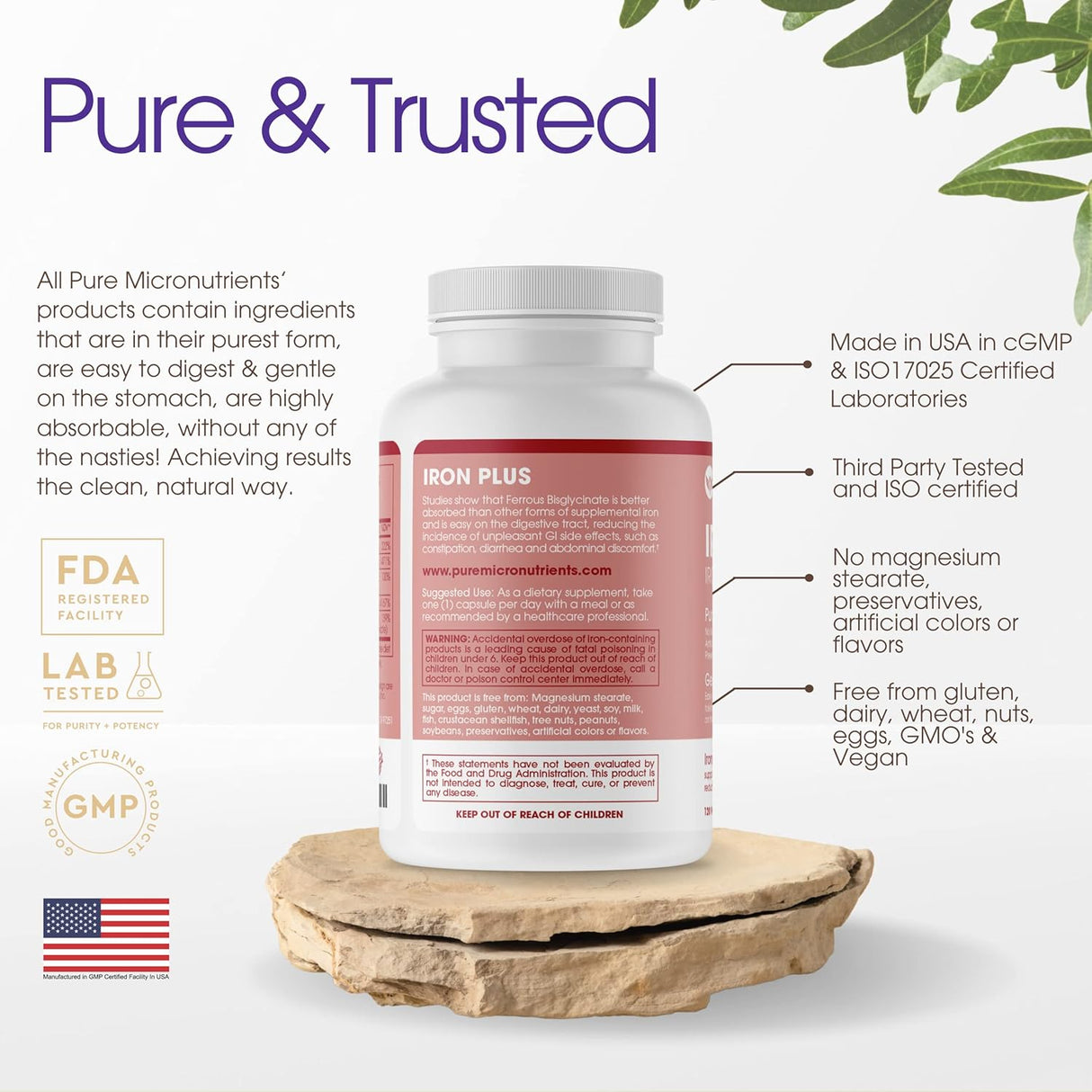 Suplemento de hierro + micro nutrientes puros ferroso