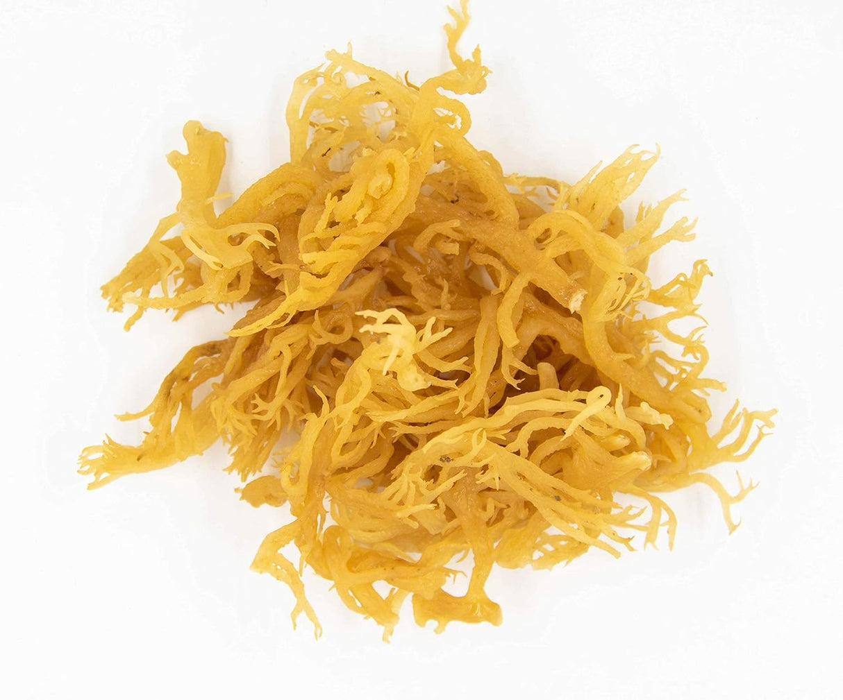 Sea Moss Seco 8oz Caribeño Superalimento Cosecha Silvestre