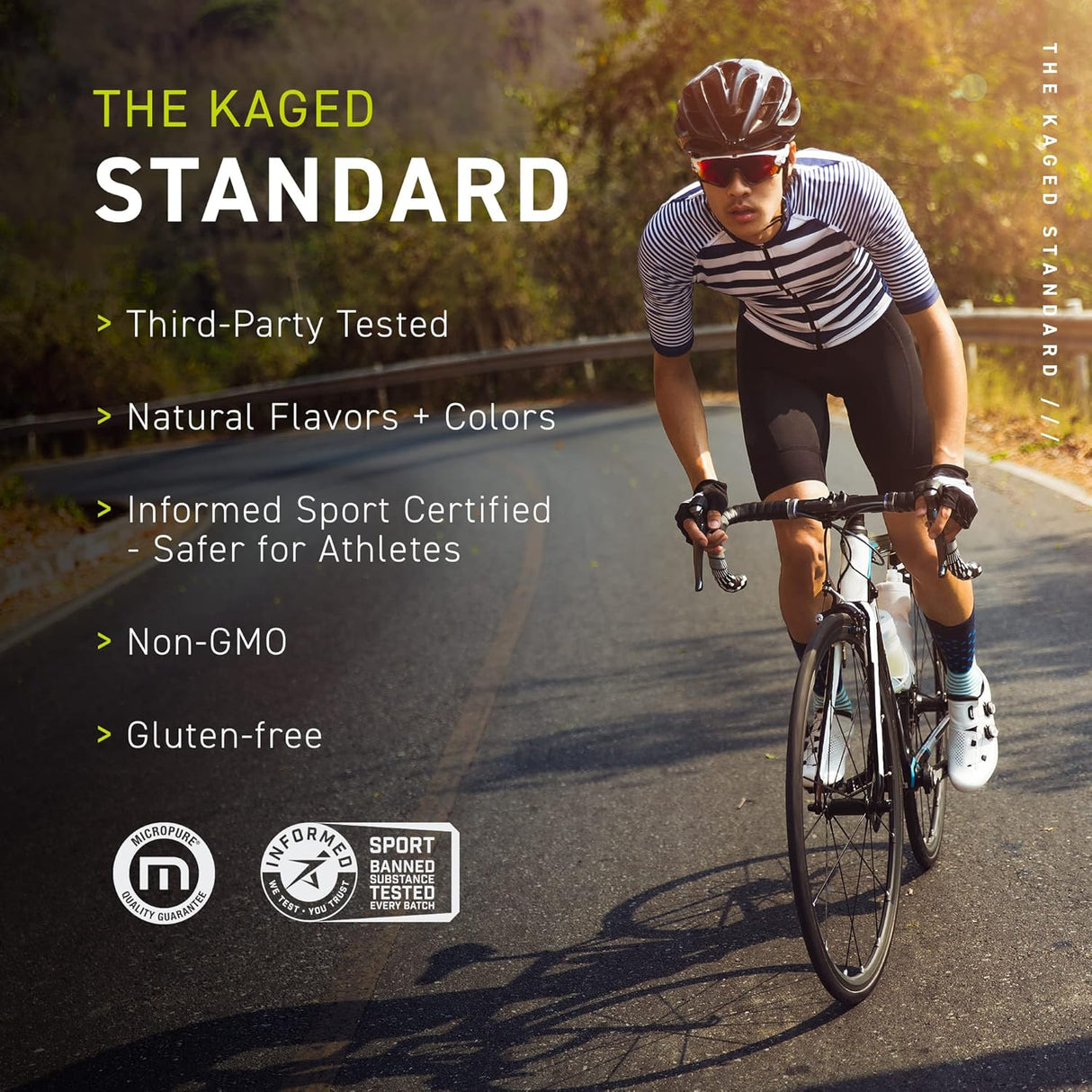 Suplementos Alimenticios preentrenamiento muscular