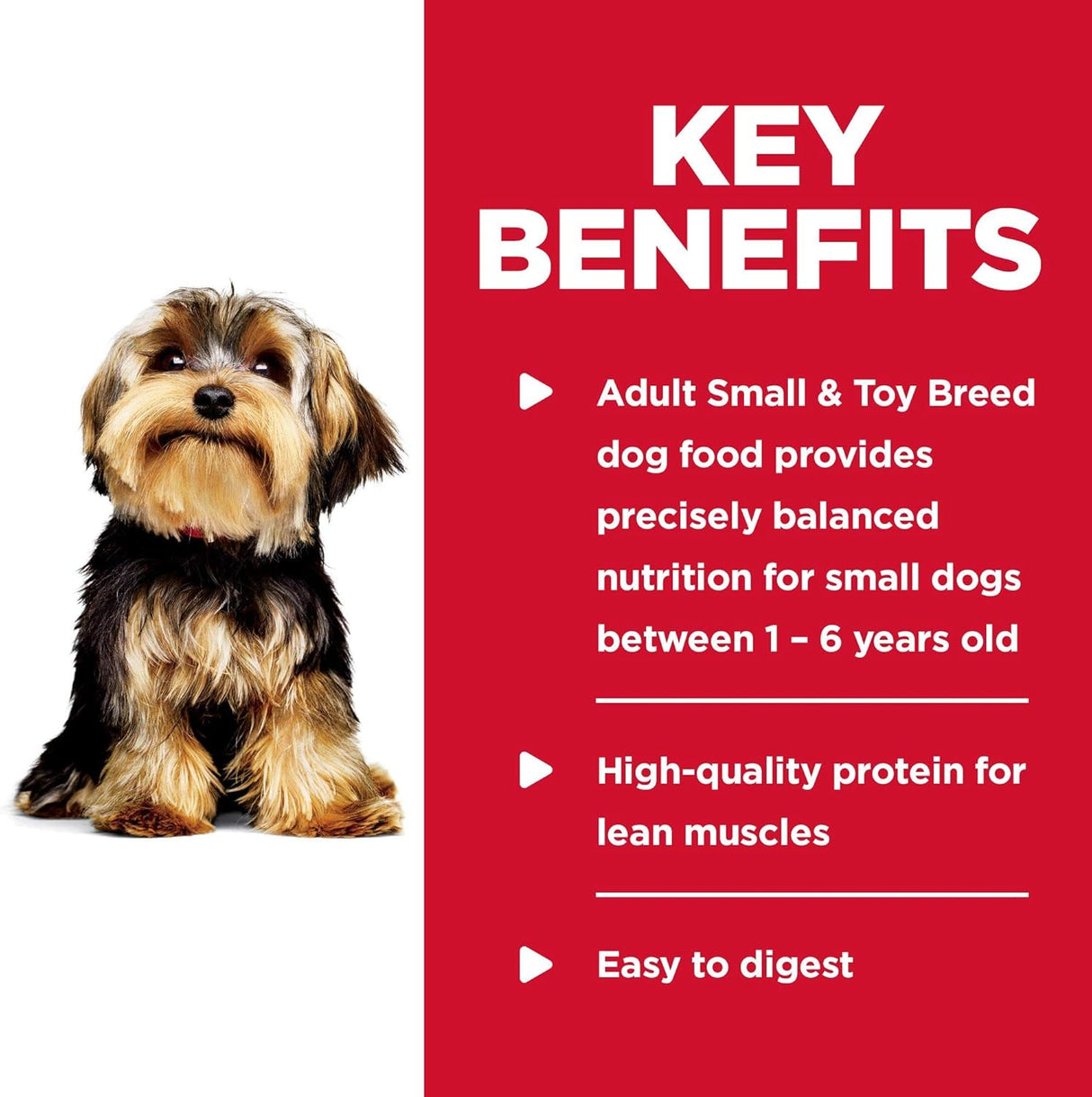 Alimento húmedo para perros adultos patas pequeñas