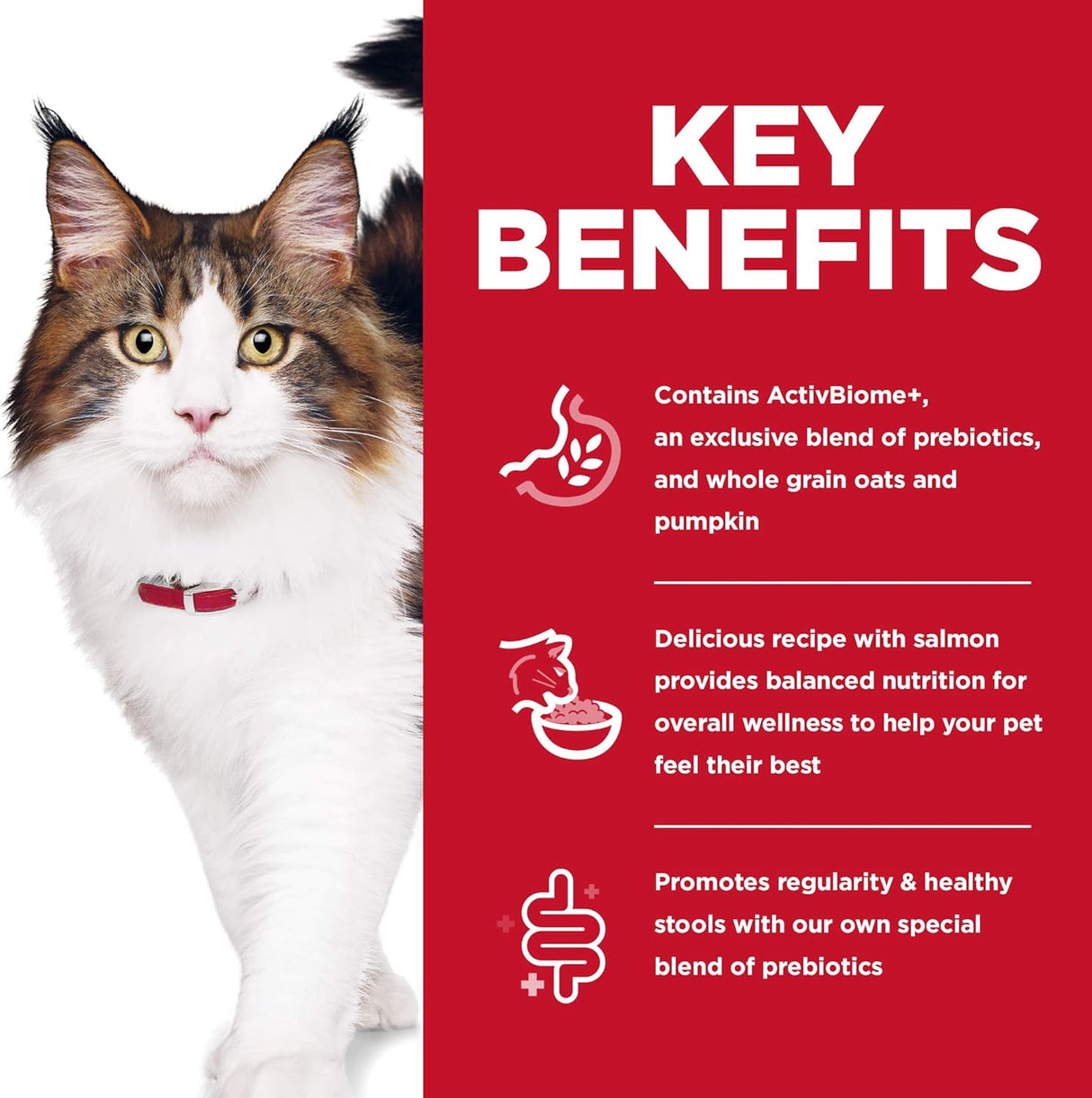 Alimento seco para gatos adultos, digestión perfecta, salmón