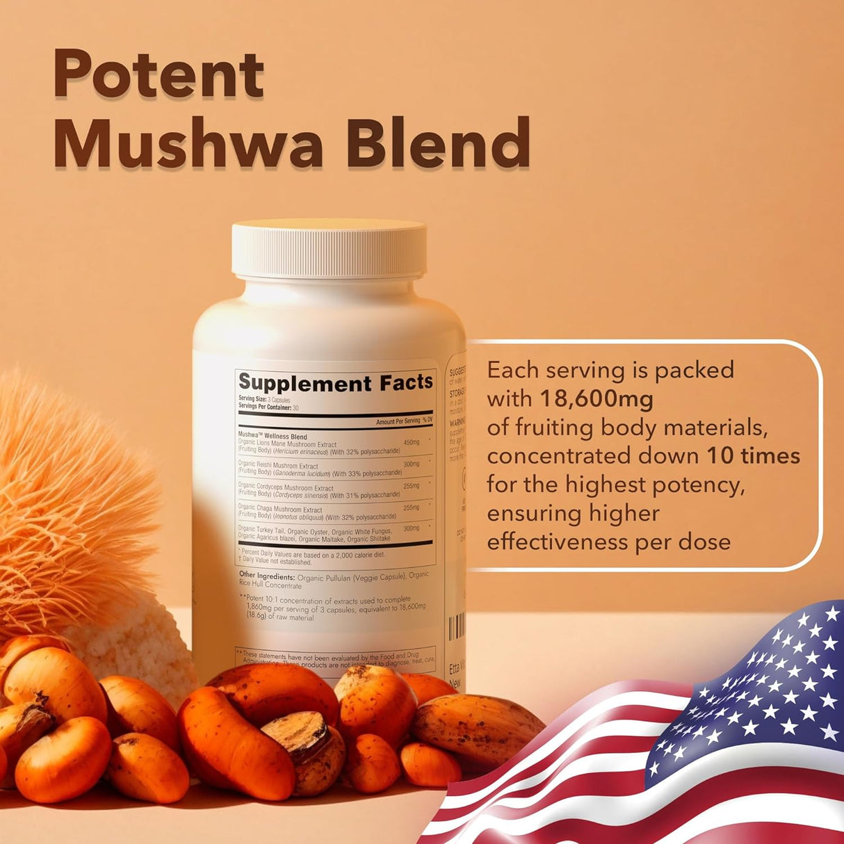 Suplemento Orgánico con Melena de León y Hongos Adaptógenos