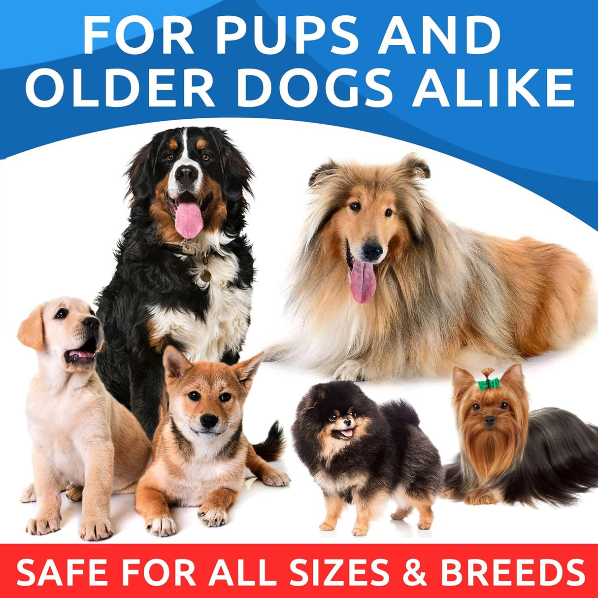 Omega 3 para perros y gatos – 180 golosinas de aceite de pescado para desprendimiento de perros, alergias en la piel, alivio de picazón, tratamiento de puntos calientes – salud de las articulaciones –