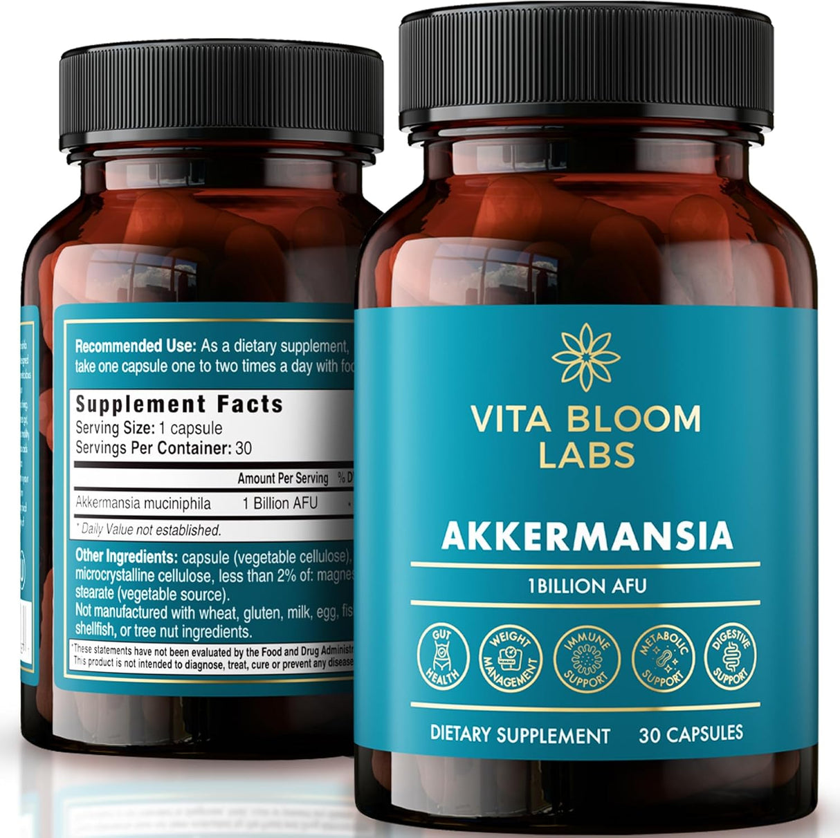 Akkermansia Probiótico, Apoyo Digestivo y Microbioma, 1B AFUs, 30 caps