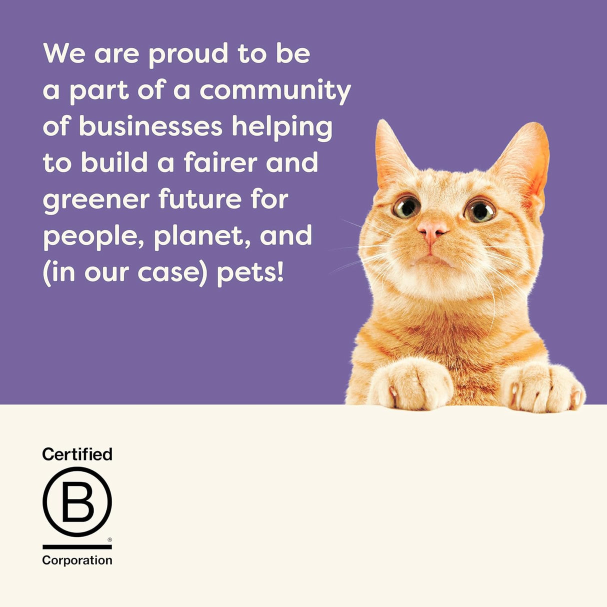 Comida Húmeda Natural para Gatos Applaws, 8 Pots de Pescado