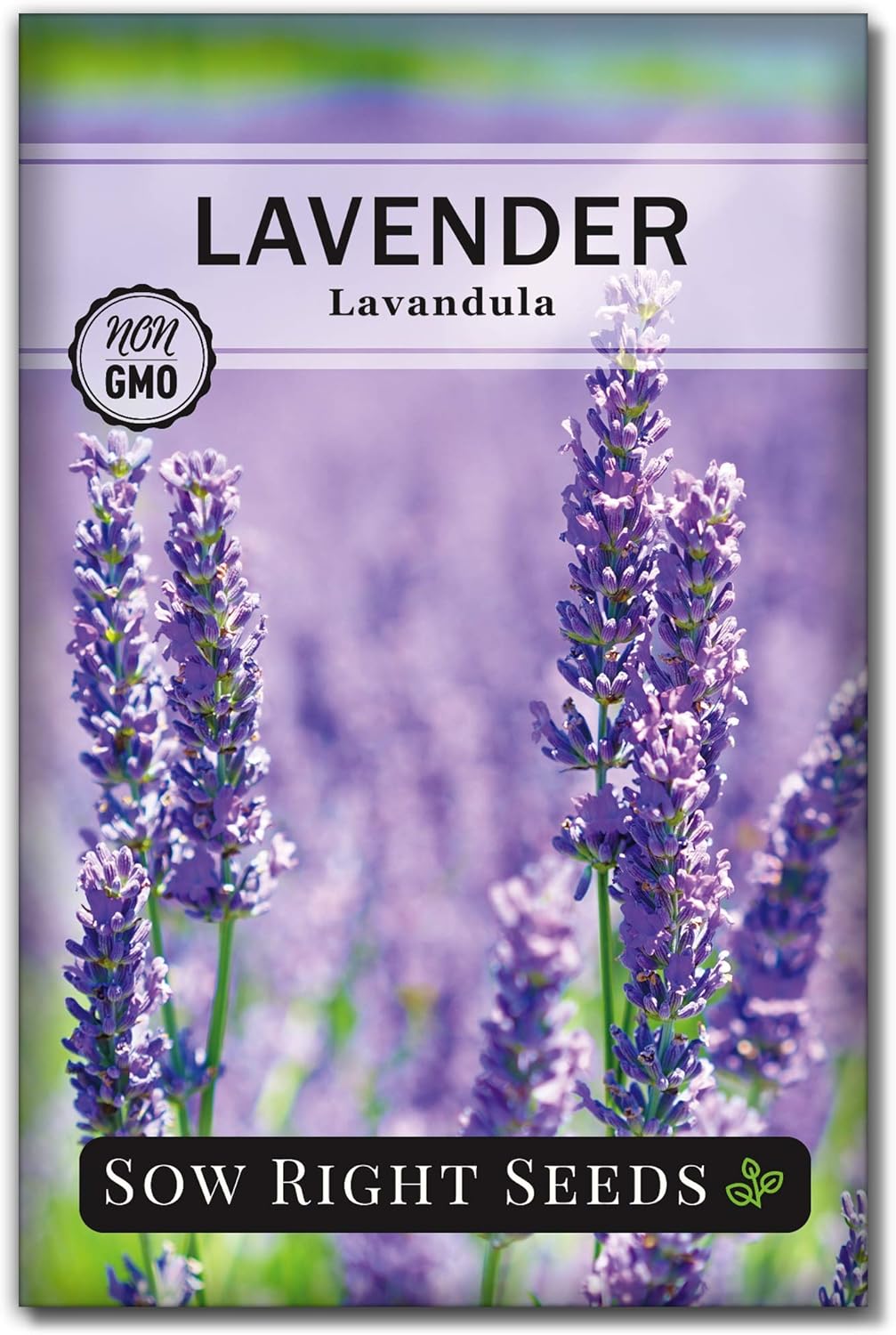 Semillas de Lavanda - Sow Right Seeds - No GMO, Perennes (1)