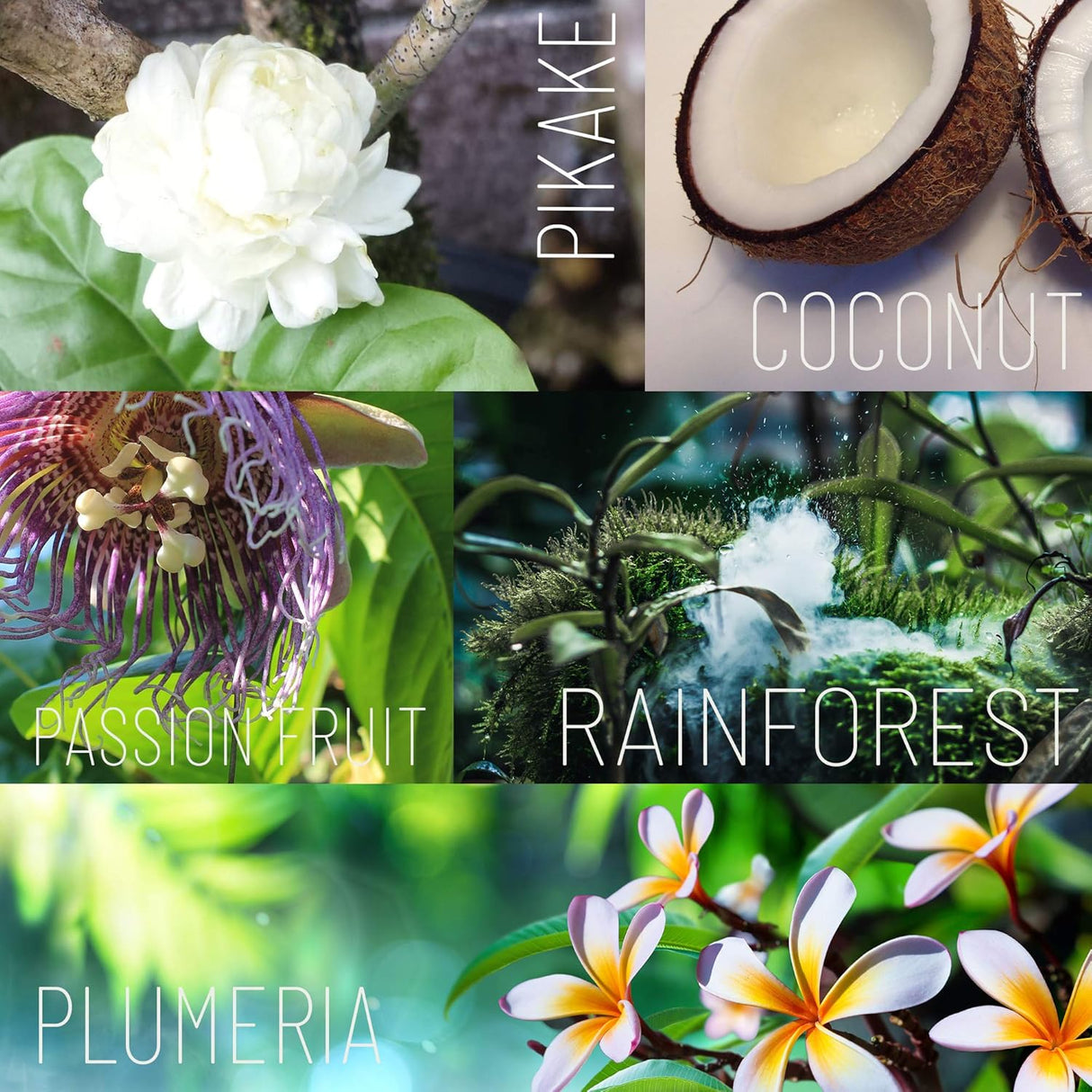 Manteca Corporal Plumeria con Aceites Tropicales y Extractos