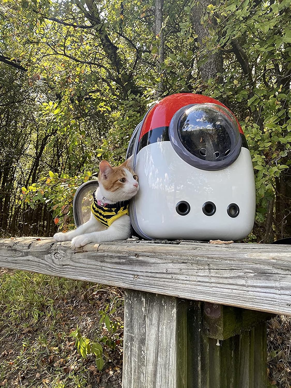Mochila expandible para gatos cápsula espacial astronauta