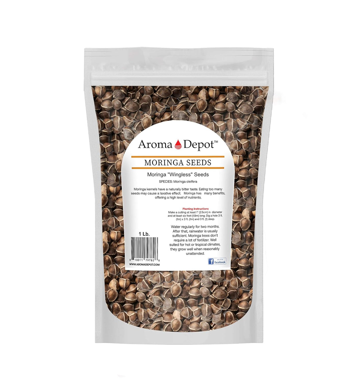 Semillas de Moringa 1 lb. WINGLESS, 100% Natural, PKM1