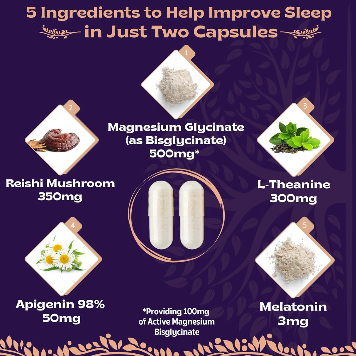 Bisglicinato de magnesio 500 mg hongo Reishi 350 mg L teanina