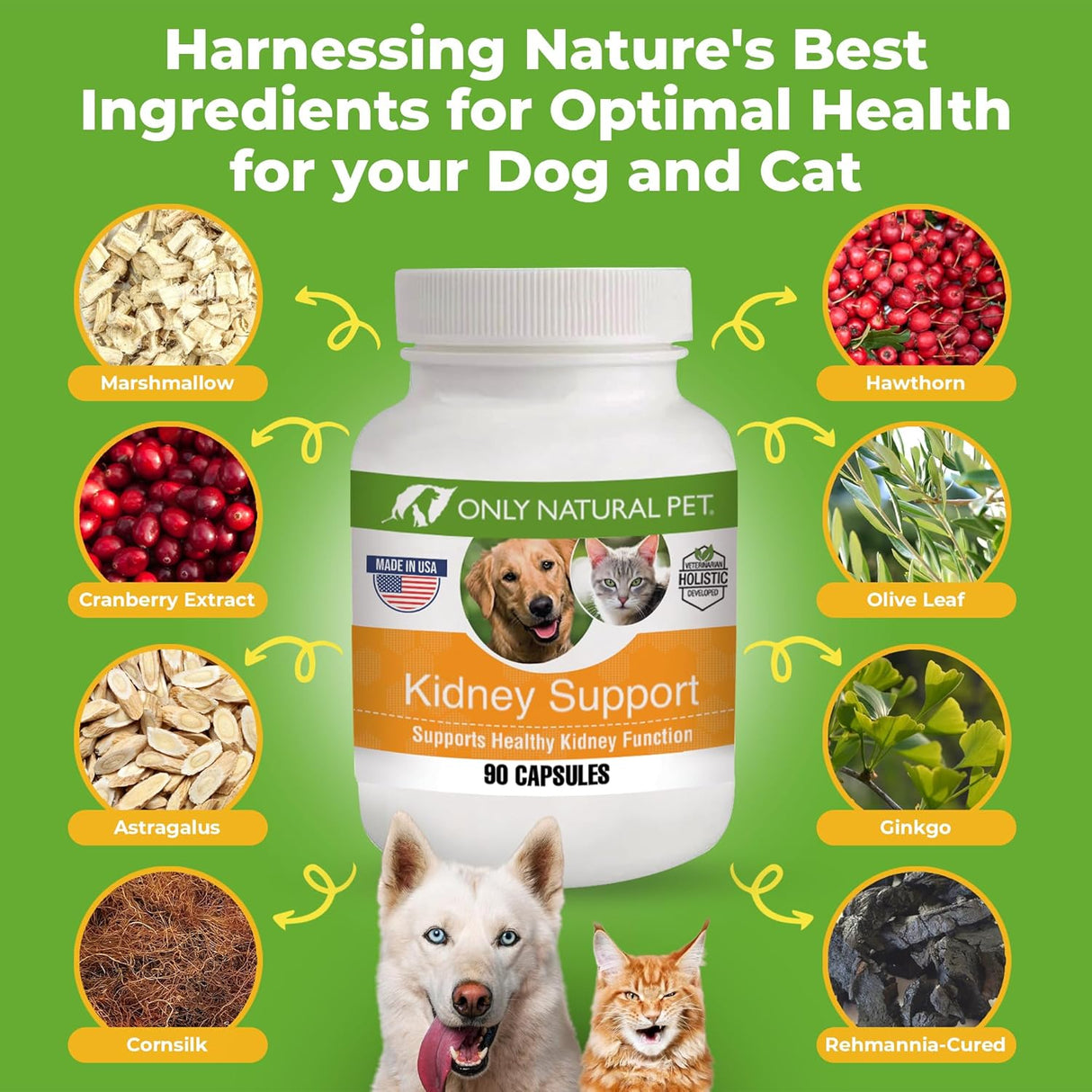 Suplemento renal natural ONLY NATURAL, 90 cápsulas saludables